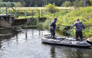 Beitragsbild Gewässermonitoring 2025 - Ein Gewässer voller Leben!