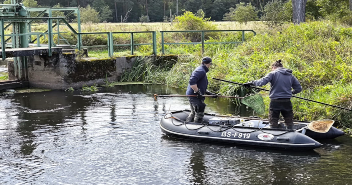Beitragsbild Gewässermonitoring 2025 - Ein Gewässer voller Leben!
